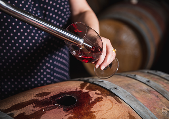 winemaker tests red wine from barrel